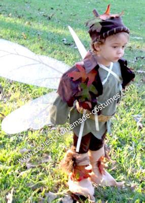 Coolest Homemade Boy Fairy Costume | Fairy costume, Faerie costume, Pixie costume