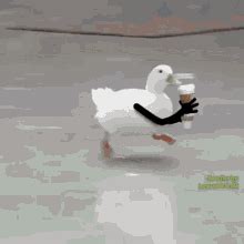 Run Duck GIF - Run Duck - Discover & Share GIFs