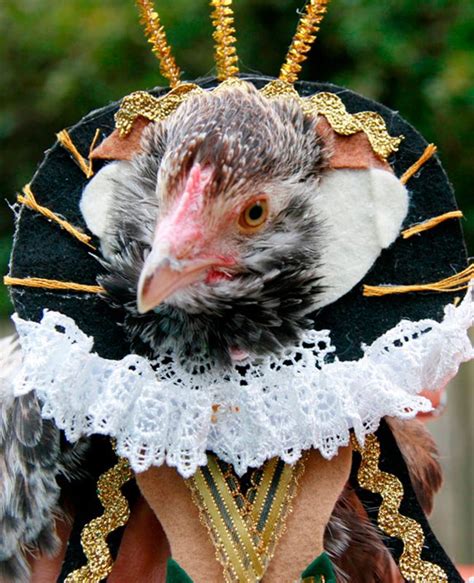 17 Best images about Chickens in Costume on Pinterest | Easter bunny ears, Sharks and Barbie