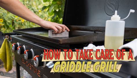 Best Outdoor Griddle Grills -For Sizzling and Spicy Summer Treats