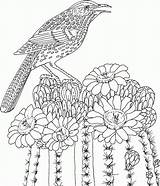 Hard Coloring Pages Of Animals  Home sketch template