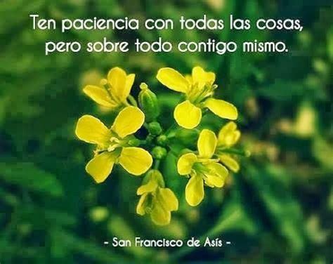 San Francisco De Asis Quotes. QuotesGram