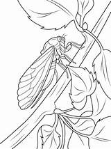 Cicada Sits On Tree Stem coloring Page  Free Printable Coloring Pages sketch template