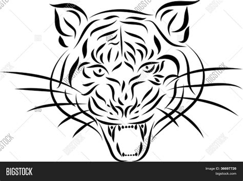 Abstract Tattoo Tiger Vector & Photo (Free Trial) | Bigstock