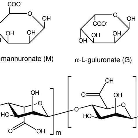 1: Alginate comprising (1-4) linked ?-D-mannuronate (M) and ...