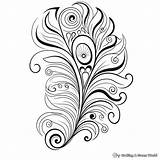 Peacock Feather Coloring Pages  Free & Printable sketch template