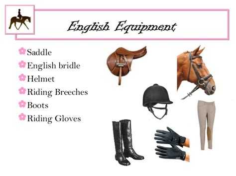 Quizlet profzara: horse riding