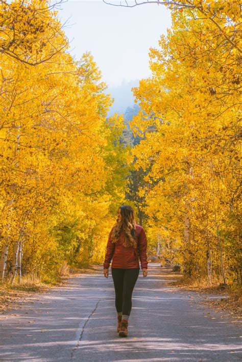 Where To Find Fall Colors Near Mammoth Lakes - The Wandering Queen