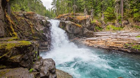 How to Hike the Silver Falls Loop Trail, Mount Rainier National Park ...