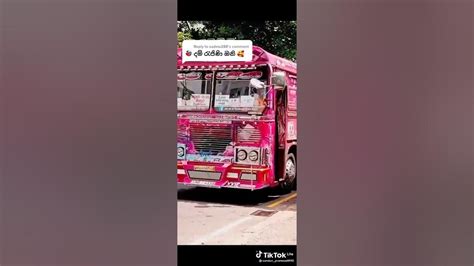 Bus video 2023 Damrajina bus video 2023 video dj bus video srilanka MSK Remix - YouTube