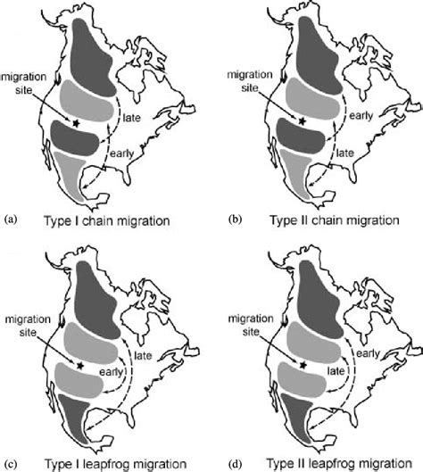 Figure 1 from Assessing migration patterns of sharp-shinned hawks Accipiter striatus using ...