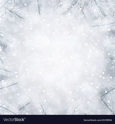 Winter background with white fir branches Vector Image