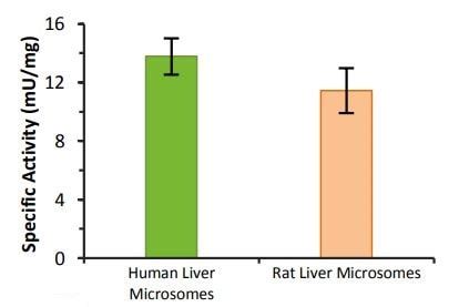 UGT Activity Assay / Ligand Screening Kit (Fluorometric) (ab273331) | Abcam