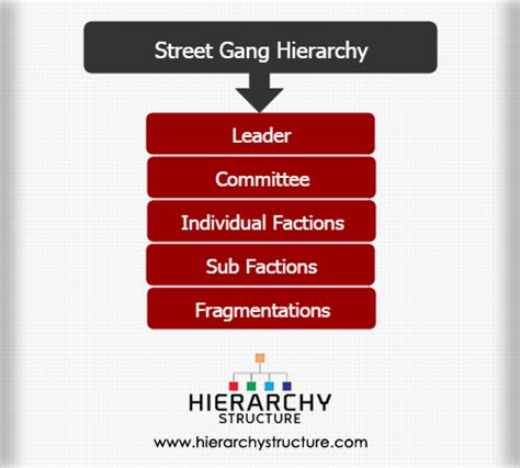 Street Gang Hierarchy | Hierarchystructure.com