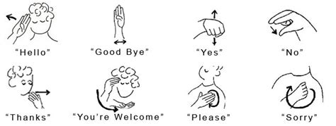 Your Welcome Sign Language