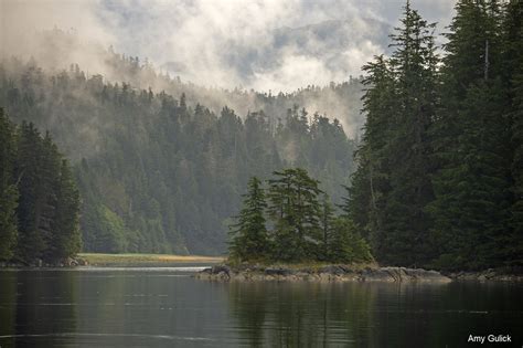 America's climate forest must be protected | Alaska Wilderness League