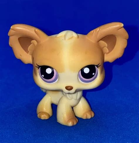 LITTLEST PET SHOP LPS Chihuahua Dog Yellow Tan with Purple Dot Eyes #96 $20.00 - PicClick