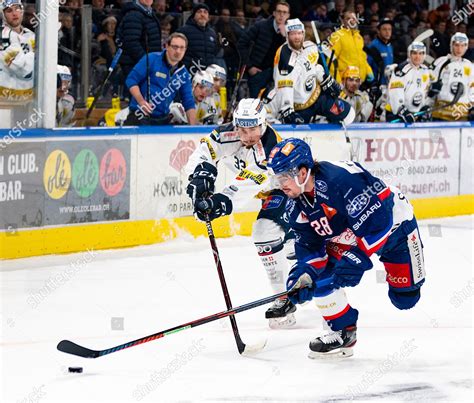 21022020 Zurich Hallenstadion Ice Hockey Nl Editorial Stock Photo ...