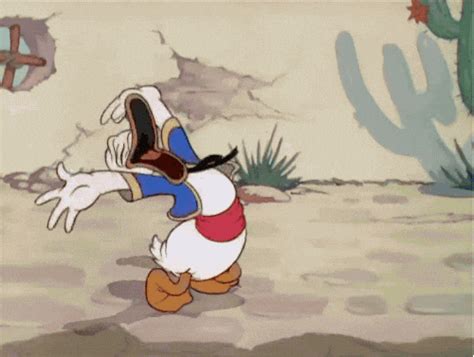 Donald Duck Laughing GIF - Find & Share on GIPHY