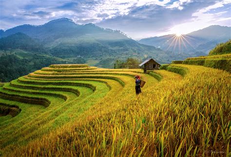 Mu Cang Chai Rice Terraces, Vietnam