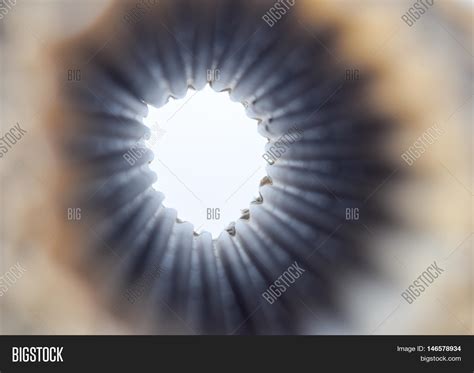 Tunnel Vision Image & Photo (Free Trial) | Bigstock