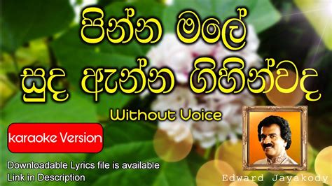 Pinna male (පින්න මලේ සුද ඇන්න ගිහින්වද) | Edward Jayakody | Karaoke ...