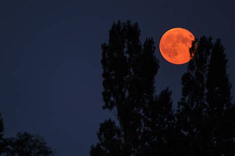 Supermoon: Watch the Lunar Eclipse From These L.A.-Area Locations Sunday | KTLA