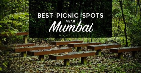 Top 9 Picnic Spots Near Mumbai You Should Head Out To And Explore.