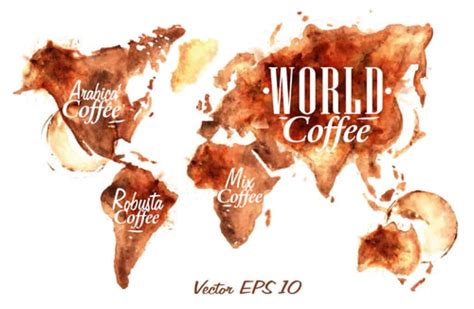 Types of coffee beans — all about coffee from expert barista! | Drinks ...