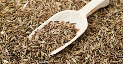 Top 9 Caraway Seed Alternatives You Might Have in Kitchen