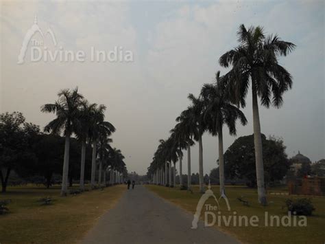 Purana Qila : Inside road , Purana Qila - The Divine India