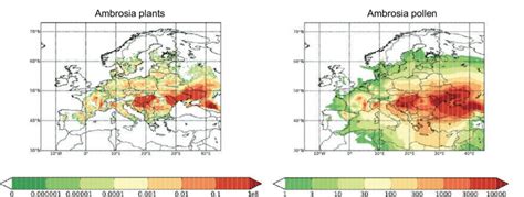 Spread of ragweed in Europe. Yearly modelled ragweed pollen emission ...