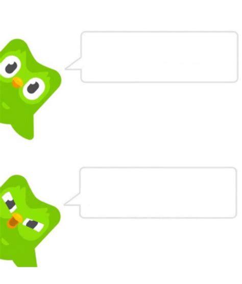 Angry Duolingo Owl Blank Template - Imgflip