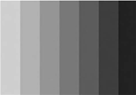 Image result for color palette black | Black color palette, Grey color ...