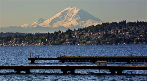 A garden on the shores of Lake Washington is restored to its former ...