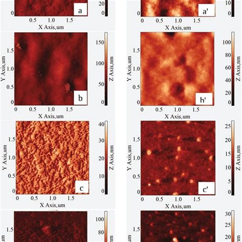 Surface morphology of pristine poly (3-hexylthiophene) (P3HT) films a ...