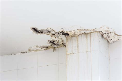 Help To Repair Your Water Damaged Ceiling | Checkatrade