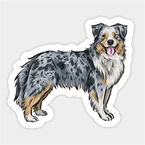 Australian Shepherd Dog Cartoon | Blue Merle | Aussie by shirin ...