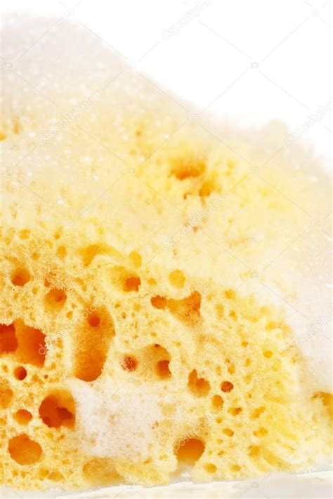 Natural sponge with foam Stock Photo by ©Shebeko 13269243