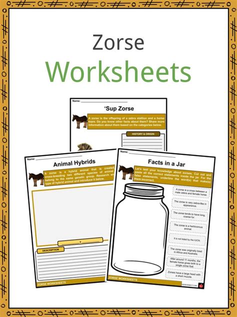 Zorse Facts, Worksheets, Classification & Evolution For Kids