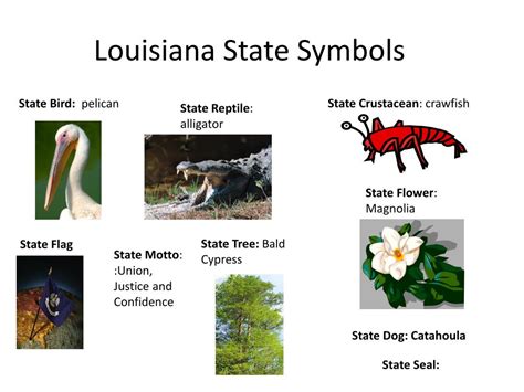 PPT - Louisiana State Symbols PowerPoint Presentation, free download ...