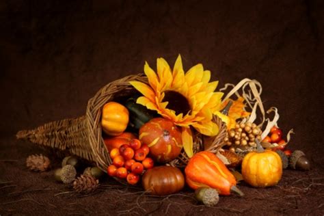 Cornucopia~Thanksgiving - Photography & Abstract Background Wallpapers on Desktop Nexus (Image ...