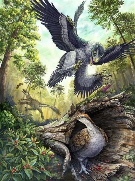 How Did Bird Ancestors Survive the Apocalypse? | Audubon