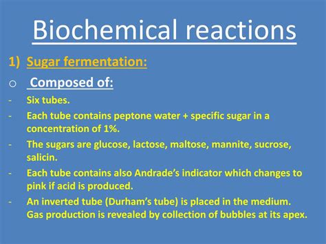 PPT - BIOCHEMICAL REACTIONS PowerPoint Presentation, free download - ID ...