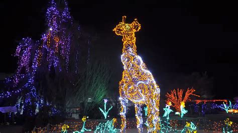 Tickets to Garden of Lights at Brookside Gardens On Sale Tuesday ...