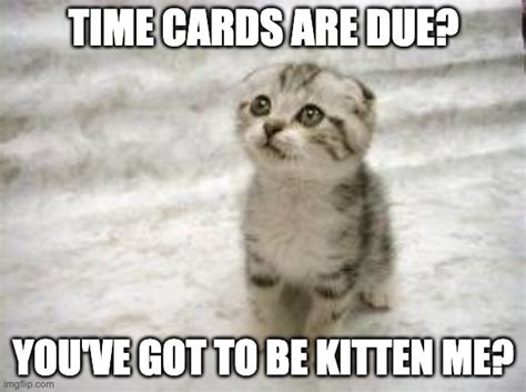 84 Timecards are due meme – Clockify Blog