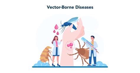 Common Vector-borne Diseases: Symptoms, Types, Prevention & Treatments