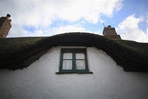 20 Amazing Homes with Grass Roof Designs