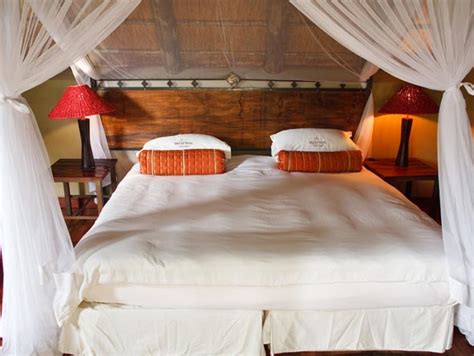 Deception Valley Lodge, Botswana | Go2Africa.com