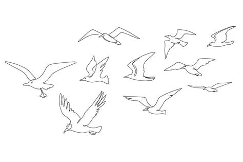 Flock of seagulls. Seabirds flying | Seagull tattoo, Flying bird tattoo ...